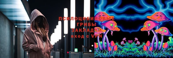 соль ск Зеленокумск