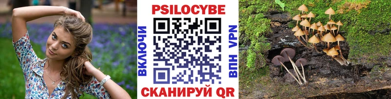 Псилоцибиновые грибы Cubensis  купить наркотик  Карабаш 